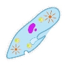 Premium Vector | Paramecium caudatum on a white background